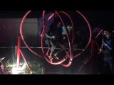 Дикая_мята_2022